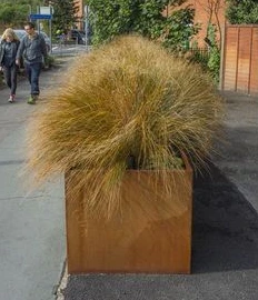 Corten Steel Sab nraum zoov Blossom Pot Flowerpot