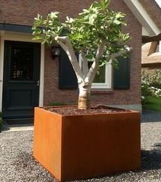 Rustic Charm Corten Steel Outdoor Floral Vase Flowerpot