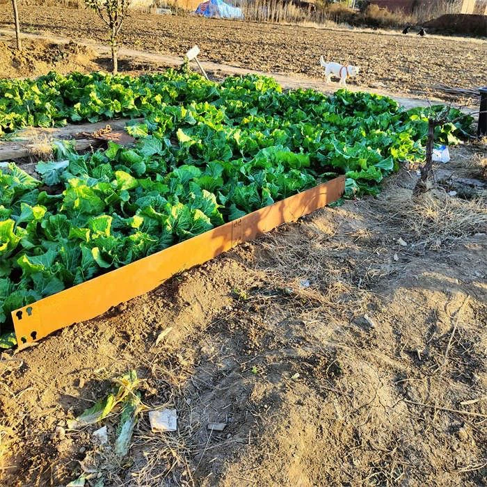 Rusty Outdoor Corten Mental Garden Edging